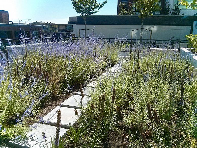 816 188 KEEFER STREET