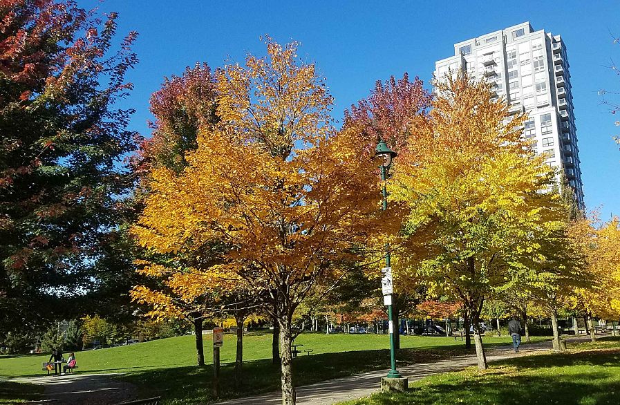 211 3551 FOSTER AVENUE