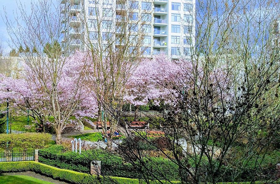 211 3551 FOSTER AVENUE