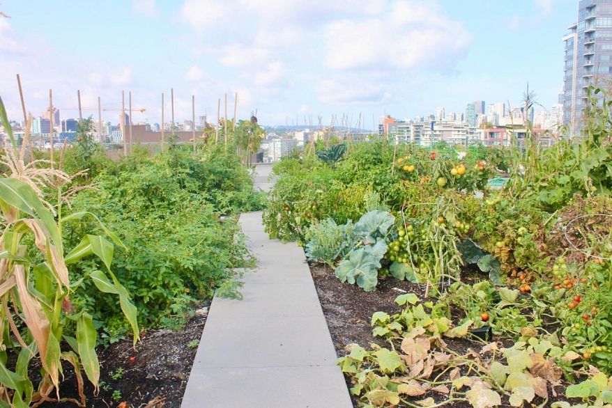 1014 180 E 2nd Avenue