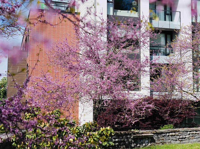 603 1571 W 57TH AVENUE, Vancouver BC V6P 0H7