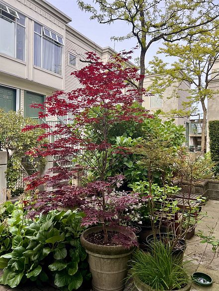 311 3727 W 10th Avenue