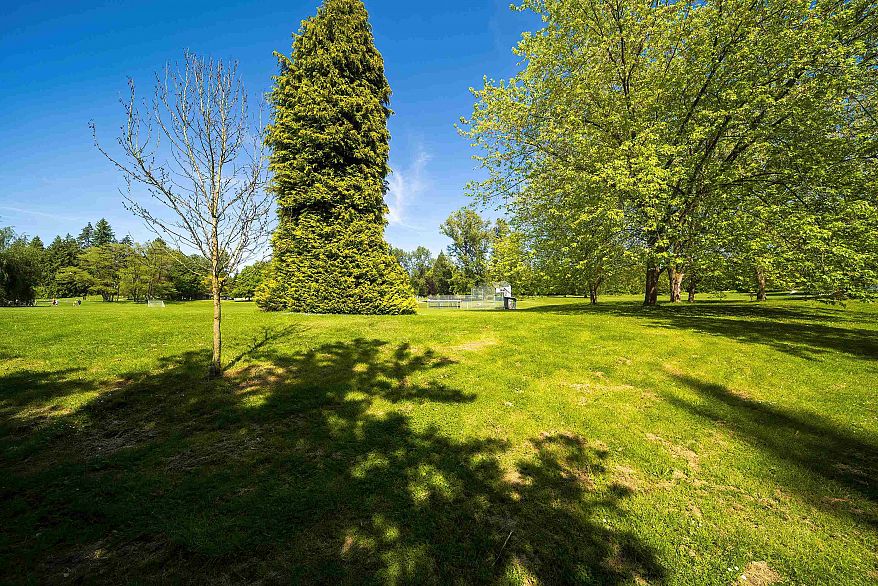 2113 4625 Valley Drive