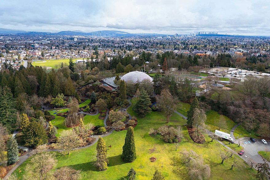 104 4932 Cambie Street