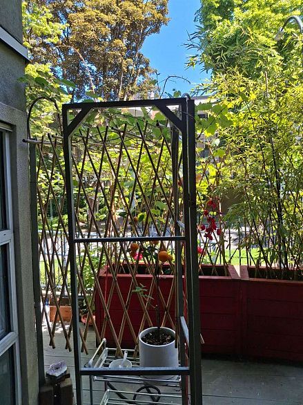 106 1510 Nelson Street