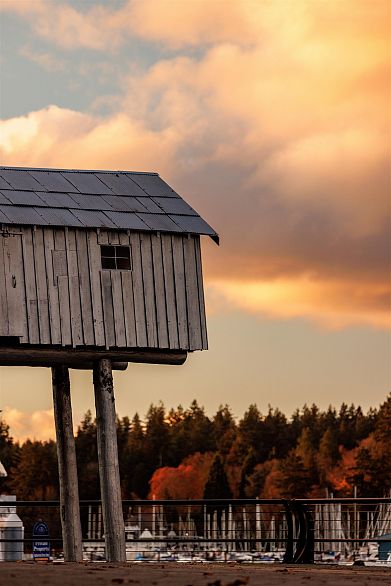 1403 1818 Alberni Street