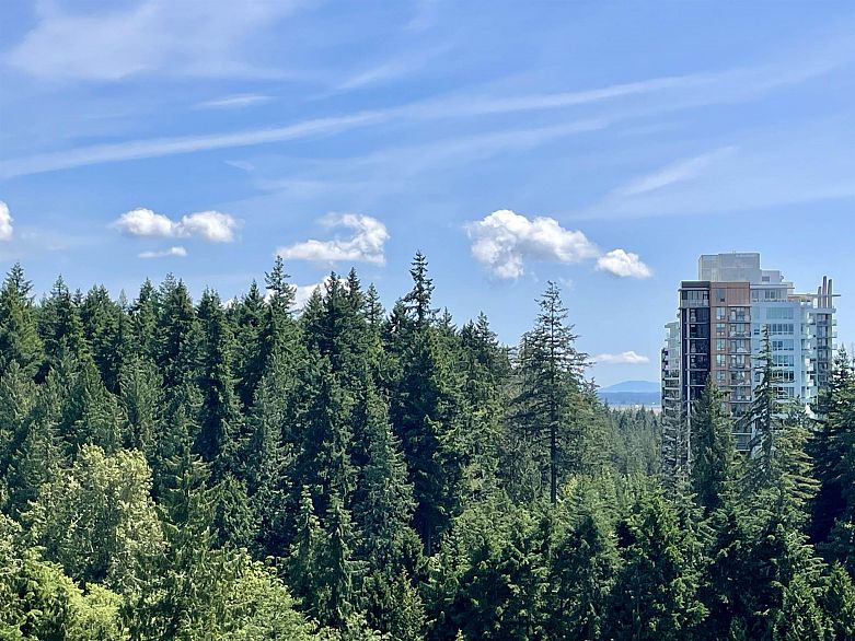 1306 5639 Hampton Place