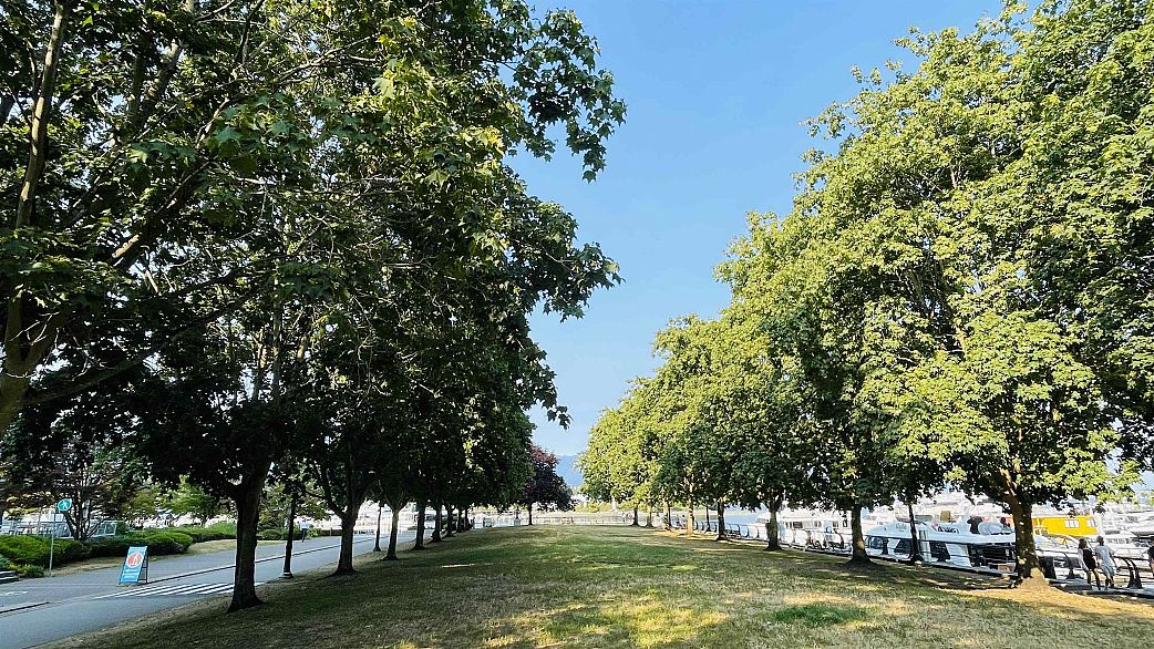 1604 620 Cardero Street