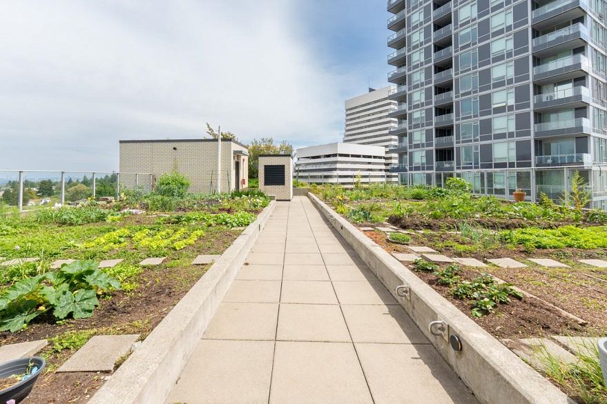 807 5470 Ormidale Street