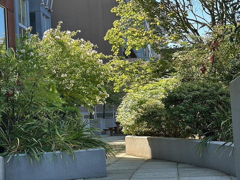 217 933 Seymour Street