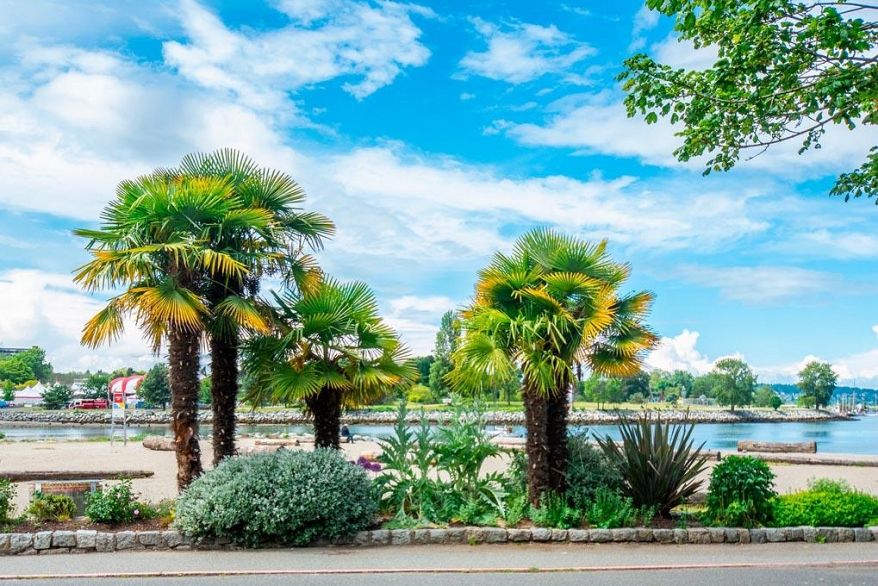 304 1233 Beach Avenue