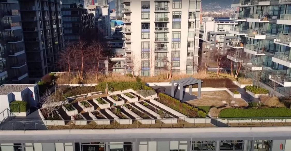 308 1788 Columbia Street