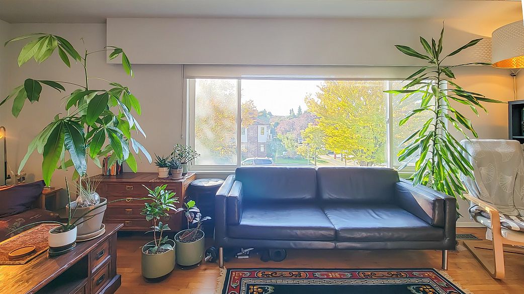 3304 Venables Street