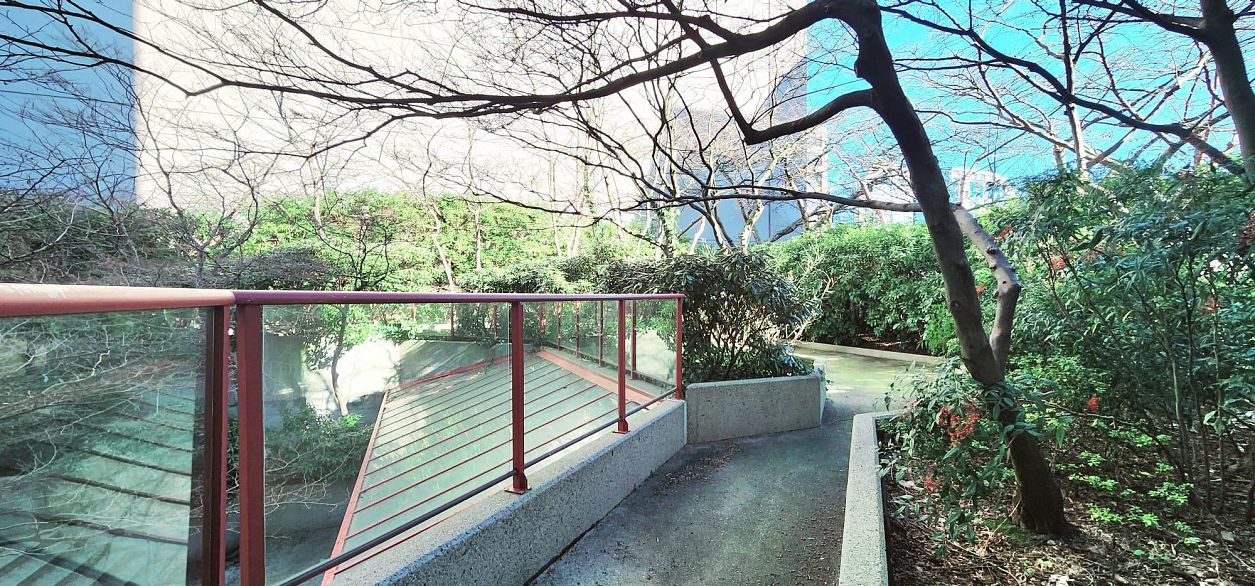 208 811 Helmcken Street