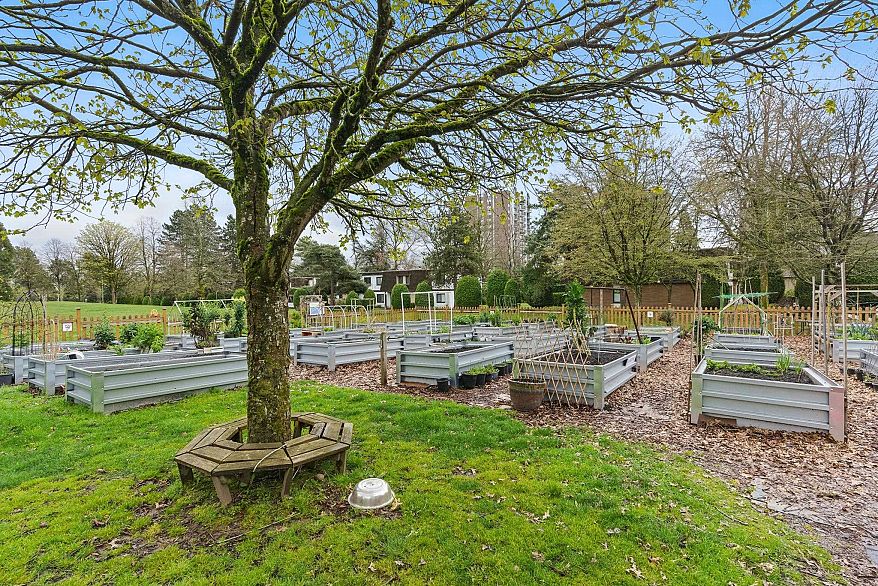 310 6859 Cambie Street