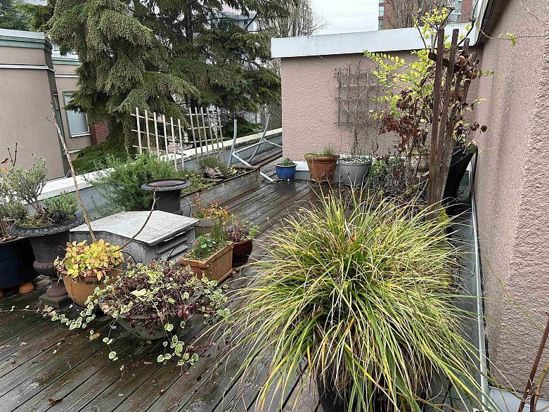 203 1878 Robson Street