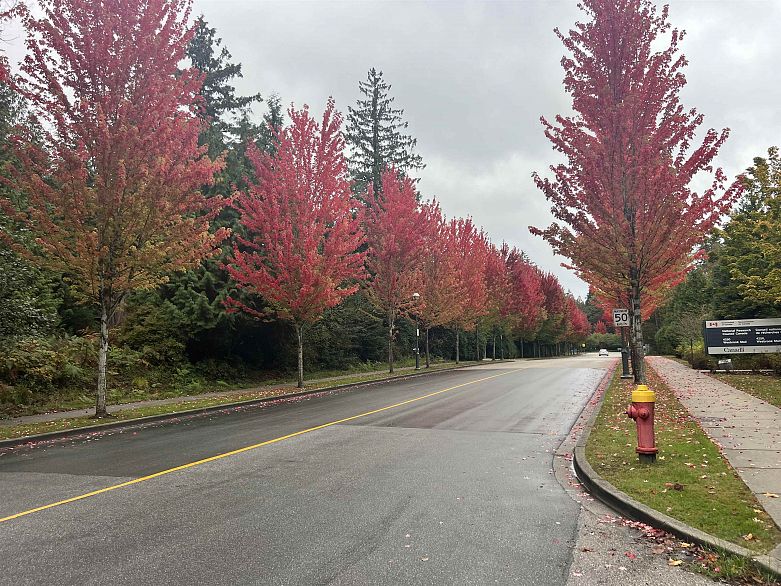 214 5788 Birney Avenue