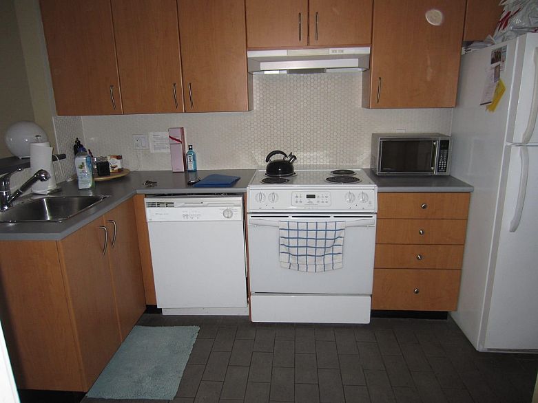 302 1295 Richards Street