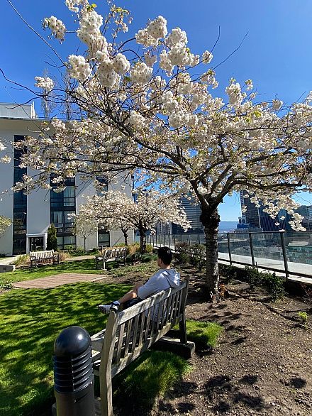 2205 938 Smithe Street