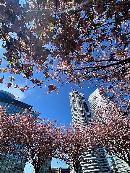 2205 938 Smithe Street