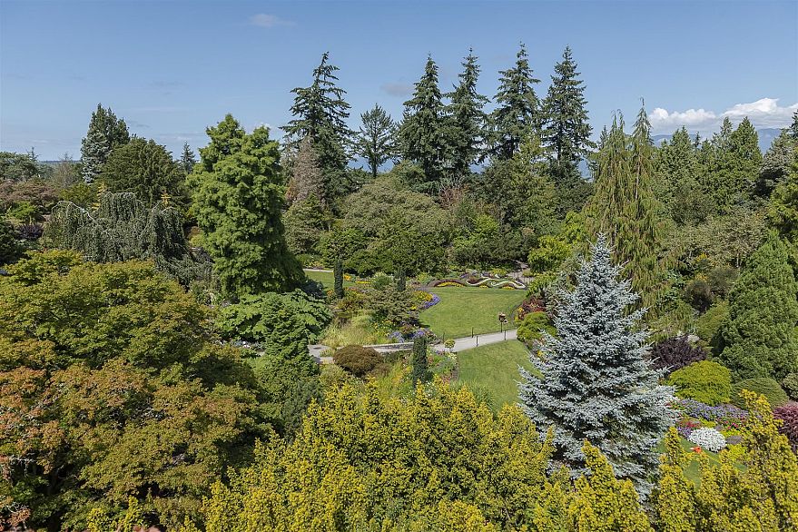 108 5189 Cambie Street