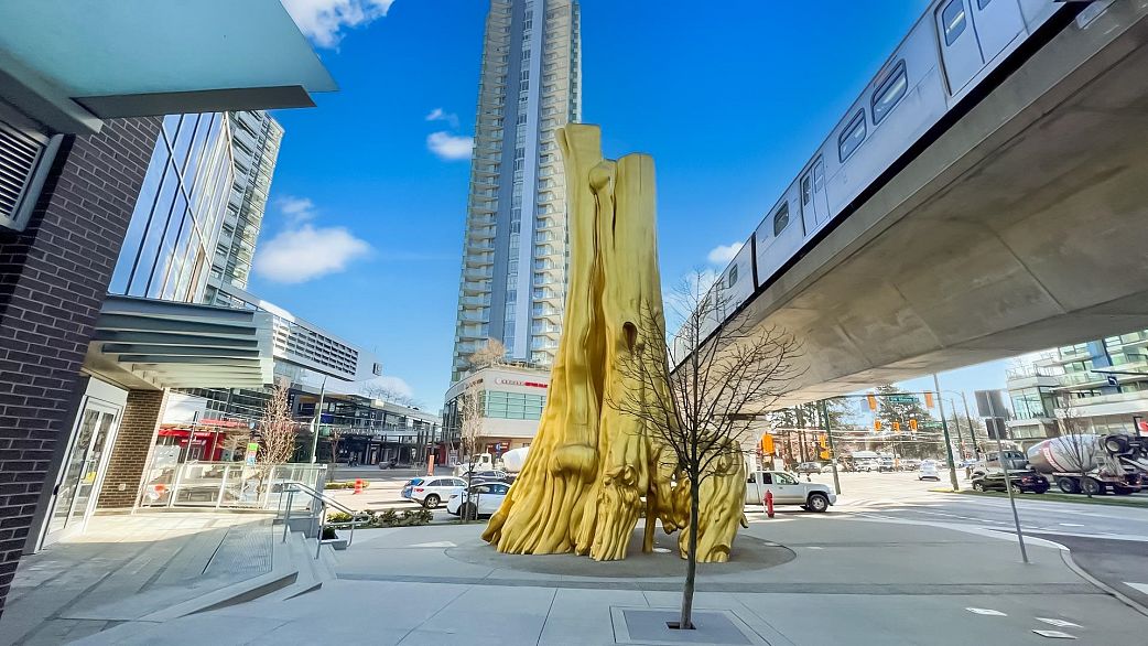 1004 8131 Nunavut Lane