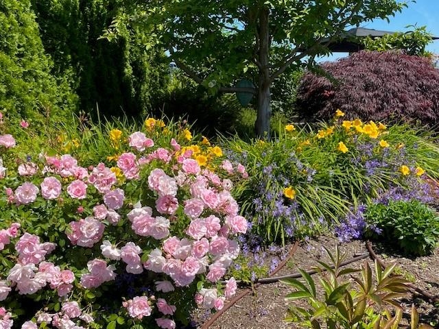 1402 181 W 1st Avenue