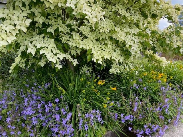 1402 181 W 1st Avenue