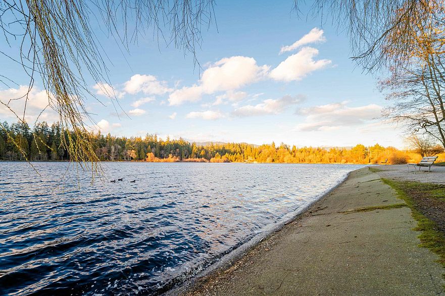 202 1500 Haro Street