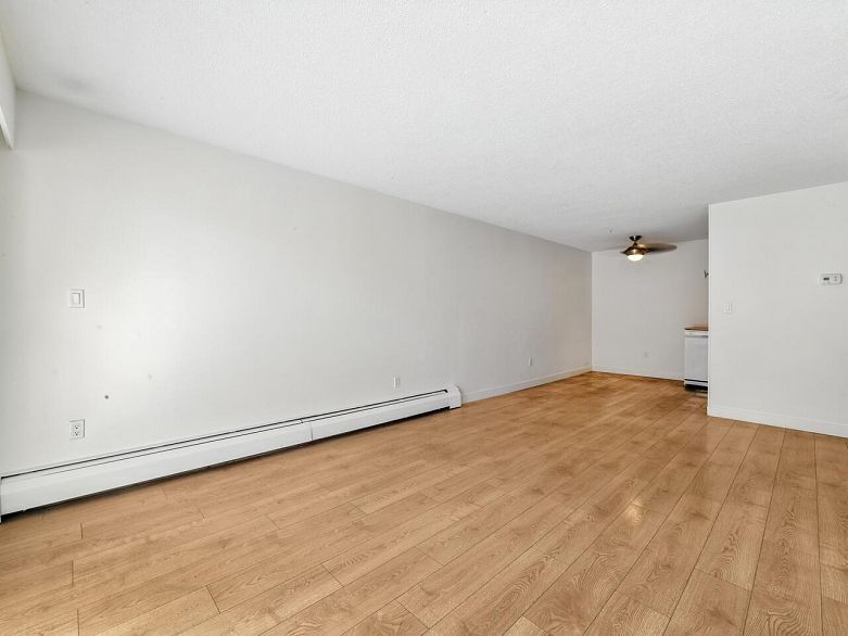 101 2910 Ontario Street