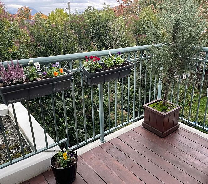 403 1617 Grant Street