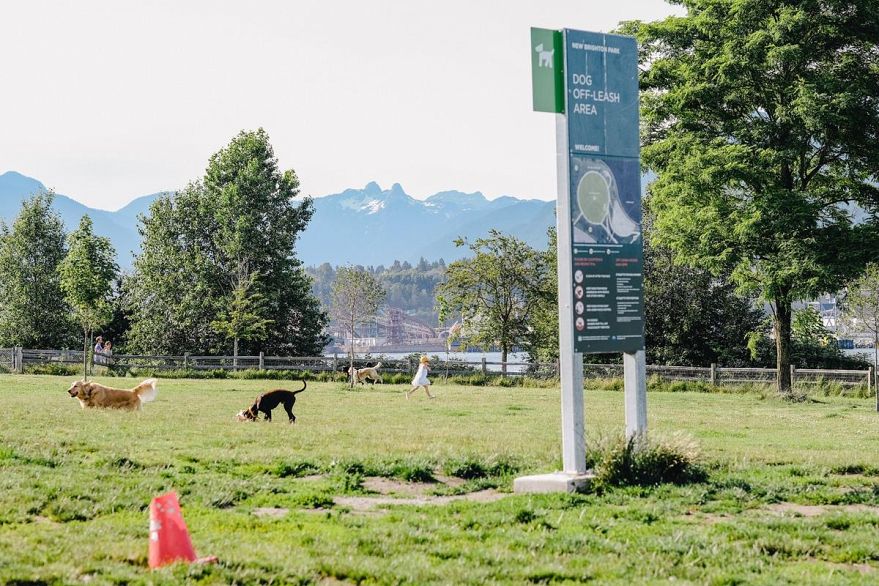 313 2636 E Hastings Street