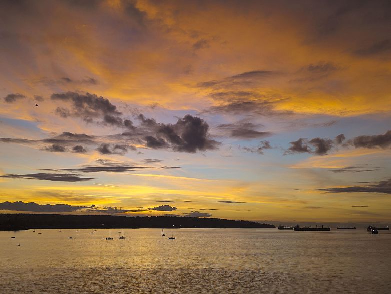 402 1575 Beach Avenue