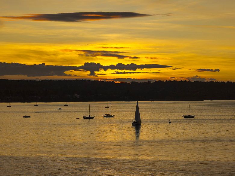 402 1575 Beach Avenue