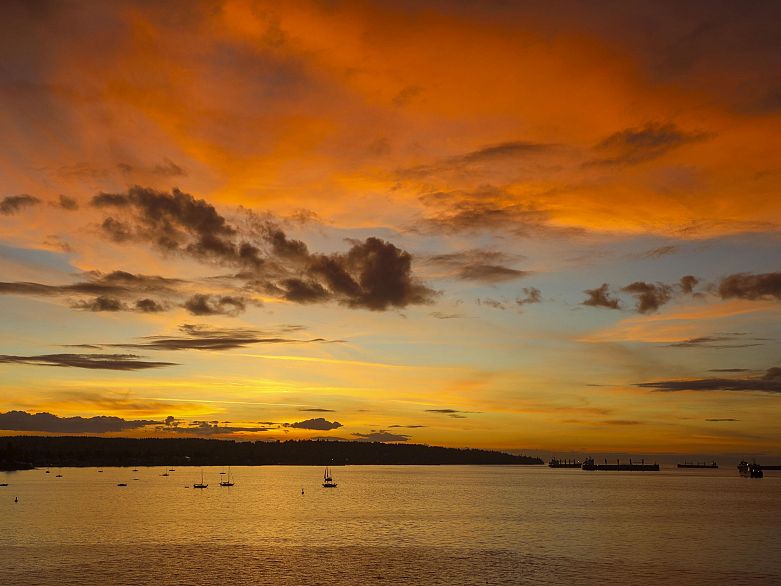 402 1575 Beach Avenue