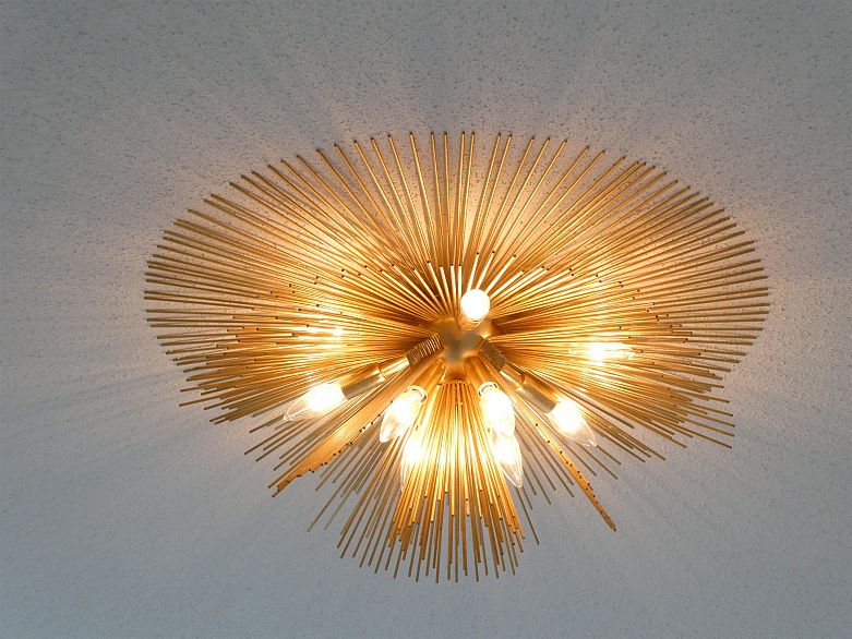 509 5628 Birney Avenue