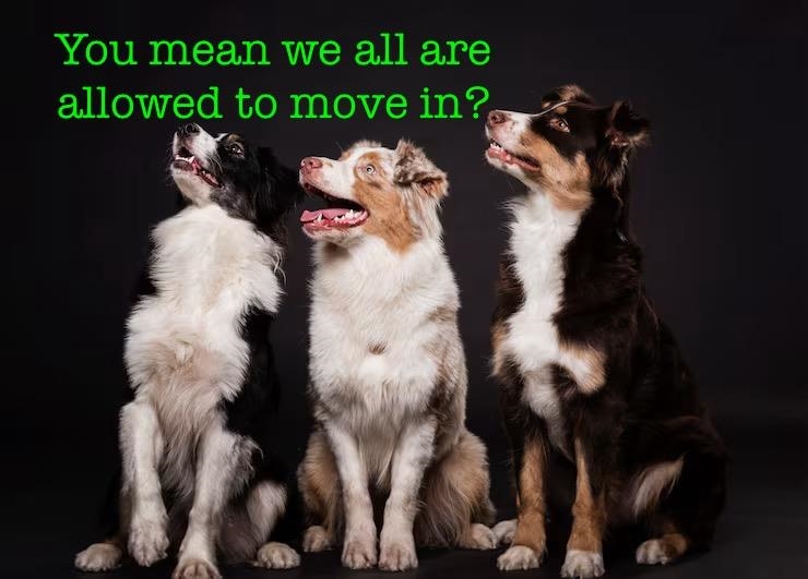 210 1508 Mariner Walk