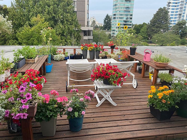 3 2146 W 43rd Avenue