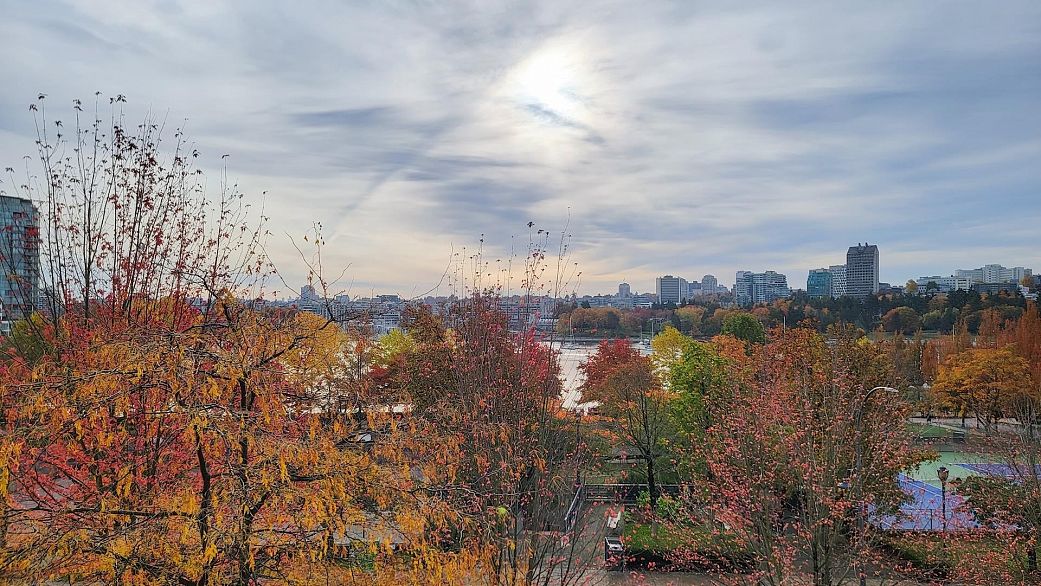 502 1483 Homer Street