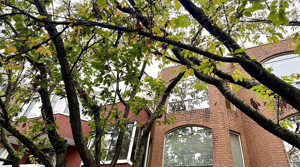 403 1010 Chilco Street