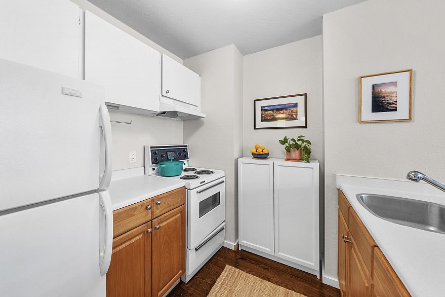 411 1333 Hornby Street