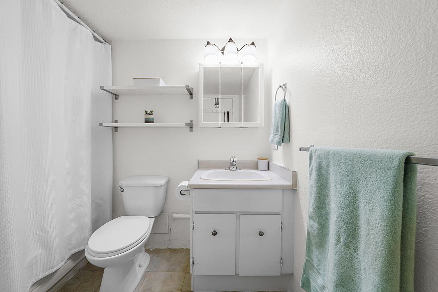 411 1333 Hornby Street