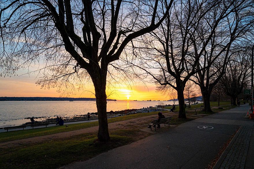 311 1040 Pacific Street