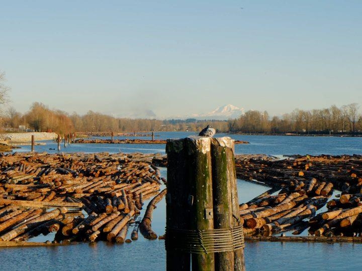 506 3289 Riverwalk Avenue