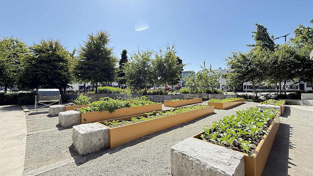 816 1768 COOK STREET, Vancouver BC V5Y 0N3