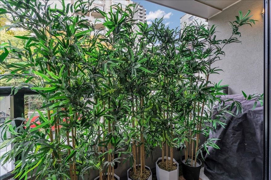 401 1330 Jervis Street