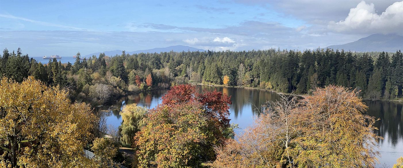 901 710 Chilco Street