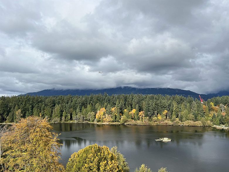 901 710 Chilco Street