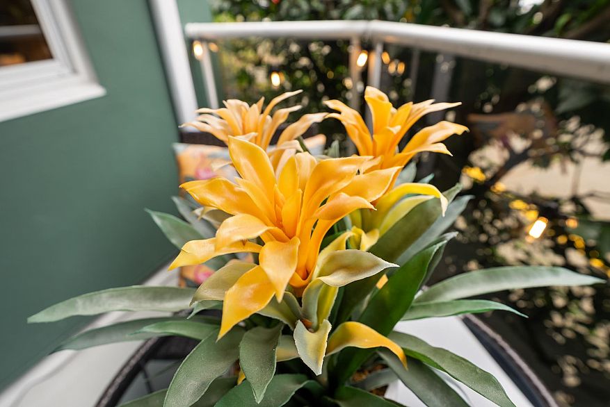 210 1508 Mariner Walk