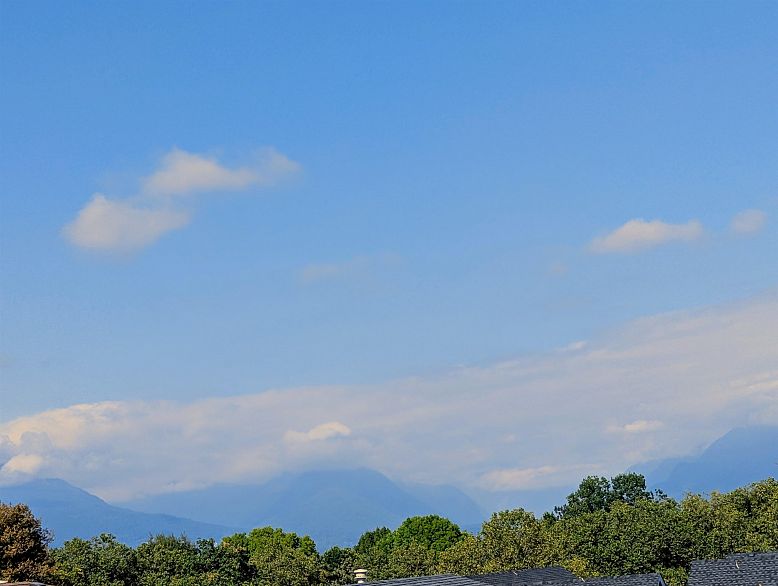 205 2239 Kingsway Boulevard